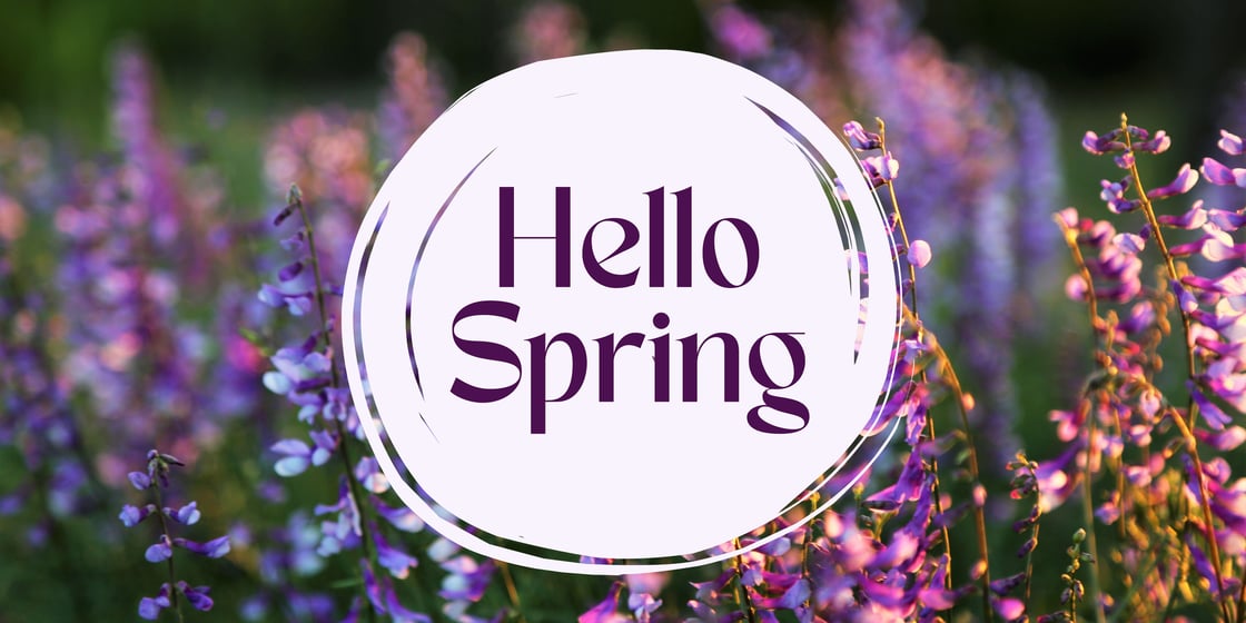 Hello Spring-2